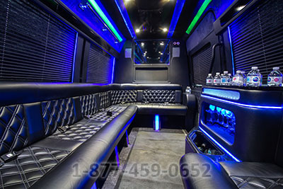 Party Bus (Sprinter) - 12-14 Passengers