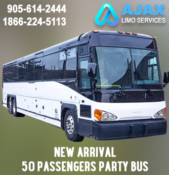Kingston Party Buses